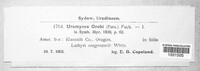 Uromyces viciae-fabae image